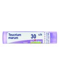 Teucrium Marum 30CH Granuli Boiron
