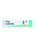 Thuya Occidentalis 5CH Globuli Monodose Boiron