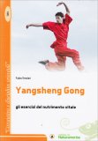 Yangsheng Gong — Libro