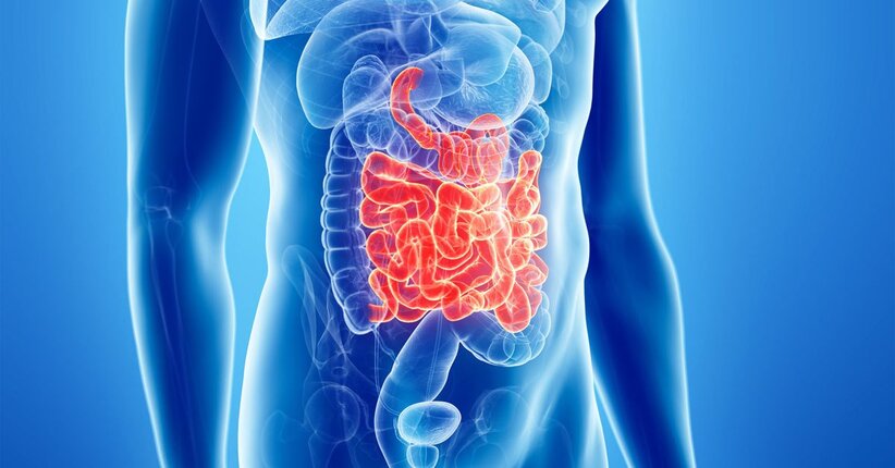 Come ripulire l’intestino naturalmente