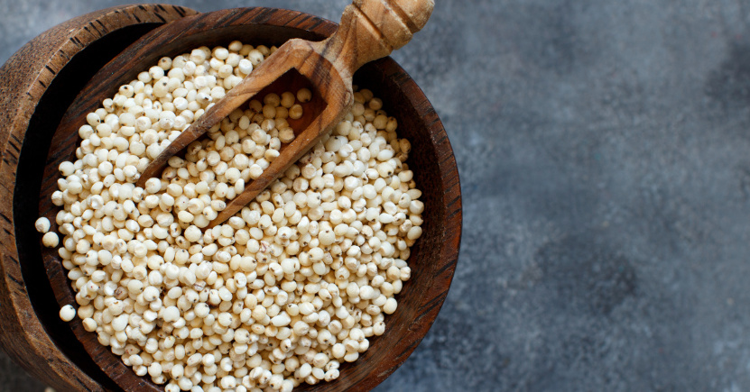 Cos’è il sorgo?
