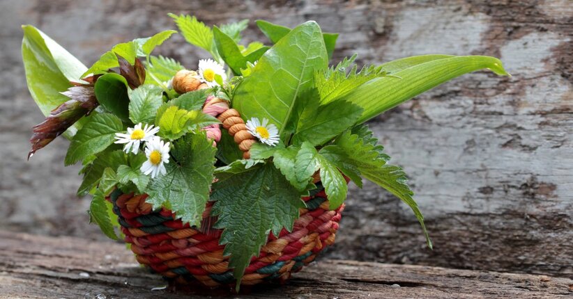 Foraging: andar per erbe spontanee