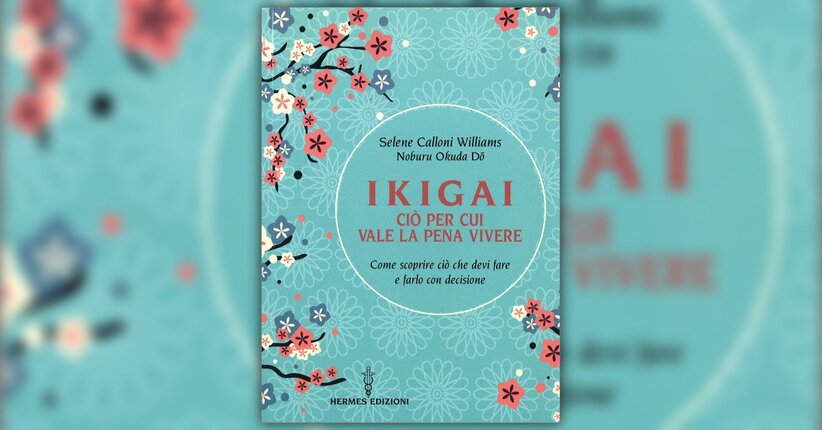 I 2 Flow dell'Ikigai