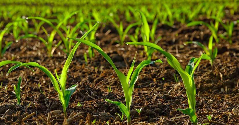 Il biologico italiano è Probios