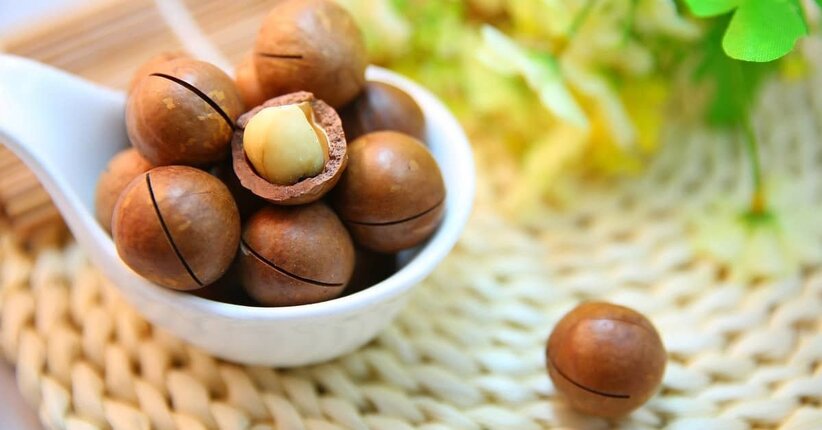 Noci di macadamia: ecco le proprietà