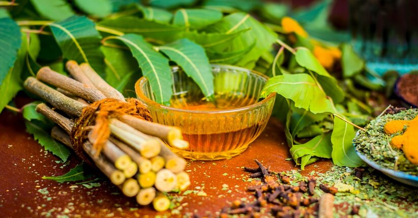 Piante ayurvediche: il Neem