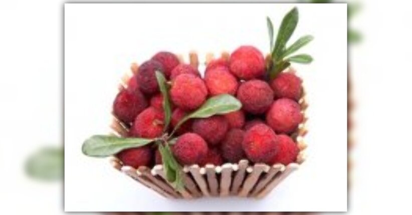 Yumberry