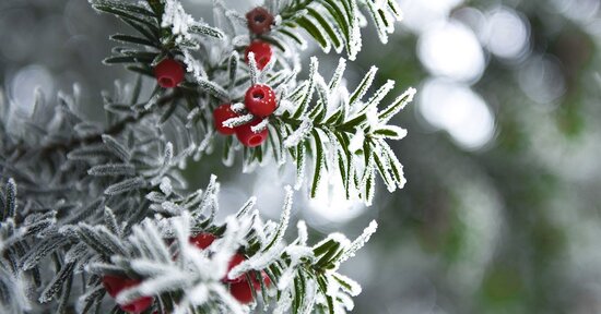 Arriva l'inverno