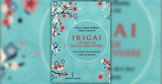 I 2 Flow dell'Ikigai