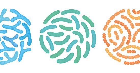 Nutrimento per il Microbiota