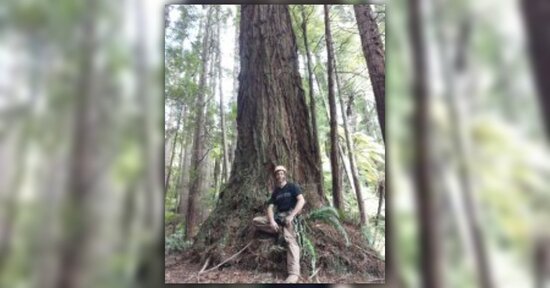 Per fare un Uomo ci vuole un Albero