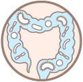 Microbiota