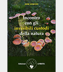 immagine copertina libro