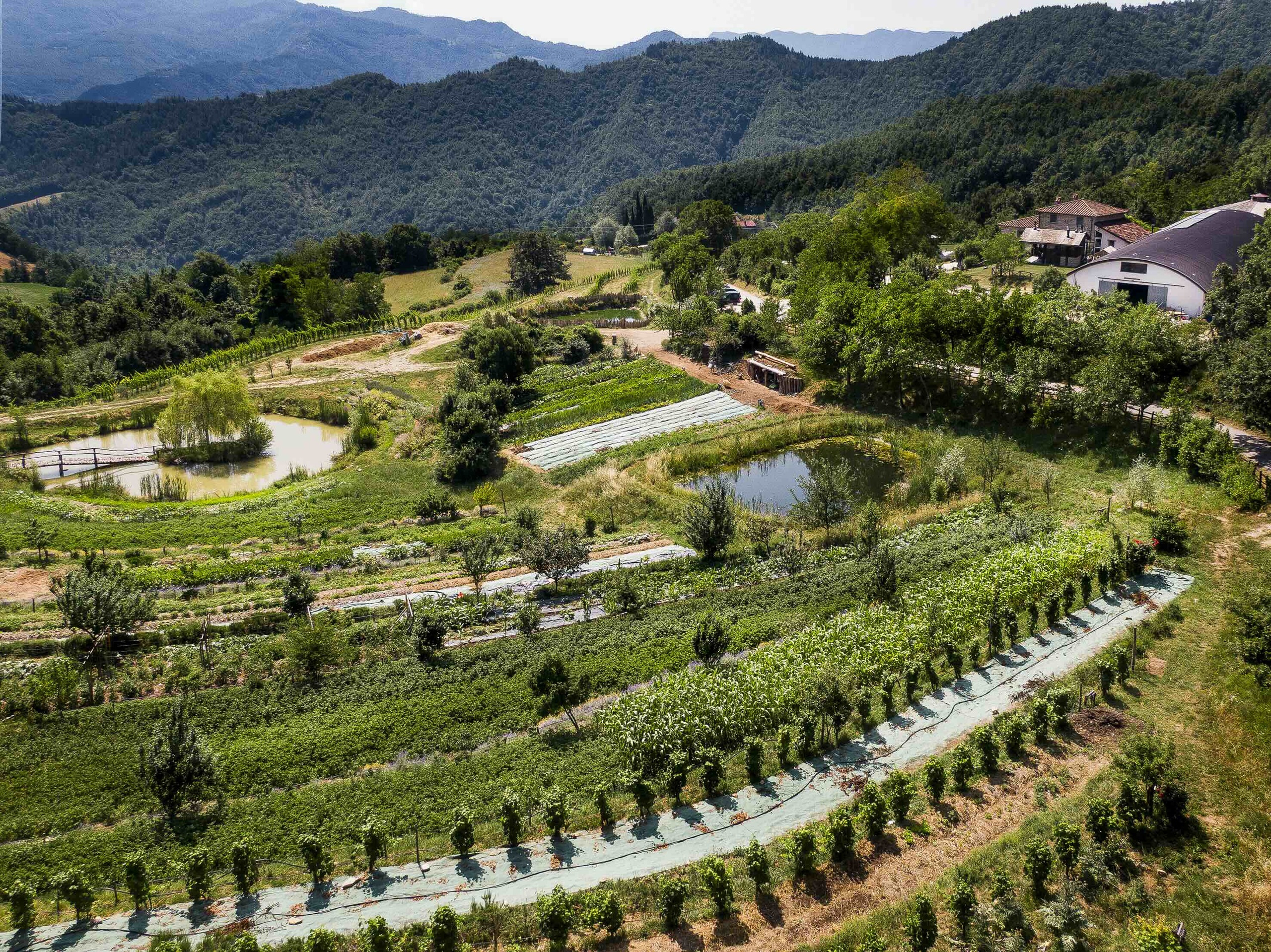 Gli orti de La Fattoria dell'Autosufficienza