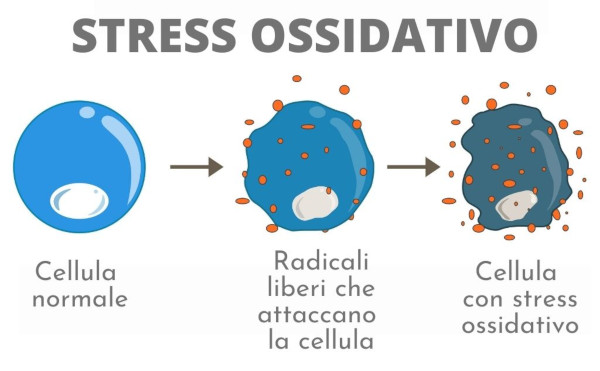 I radicali liberi ossidano le cellule privandoli di un elettrone