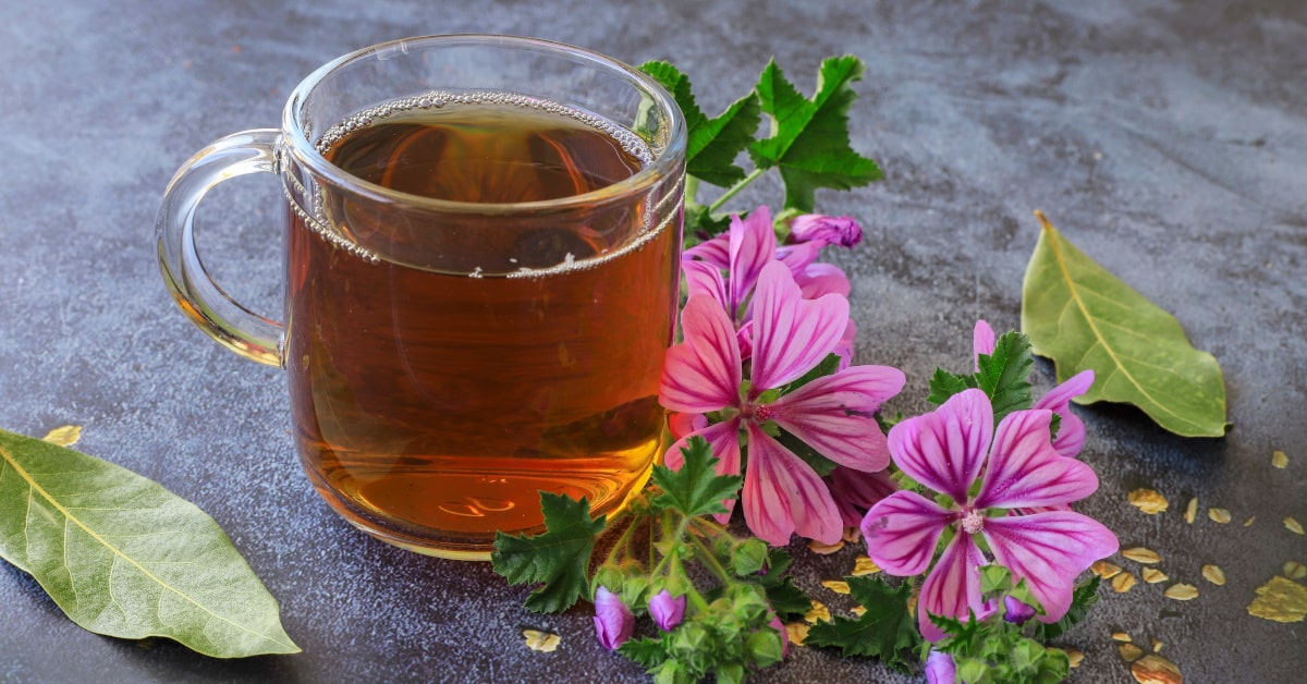 Tazza di vetro con tisana alla malva e fiori di malva